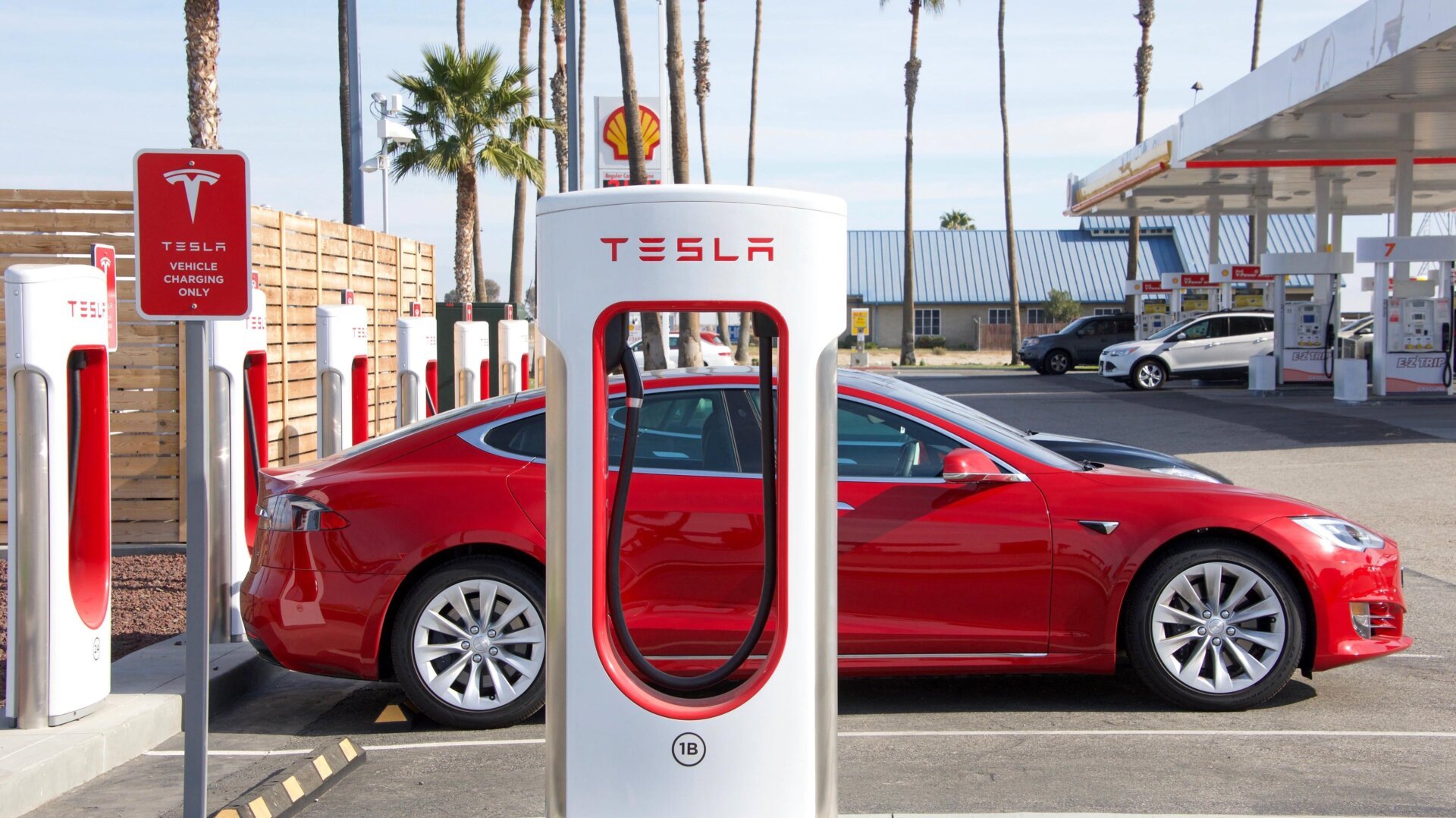 قد يكون لدى Tesla حل لمشكلة Elon Musk