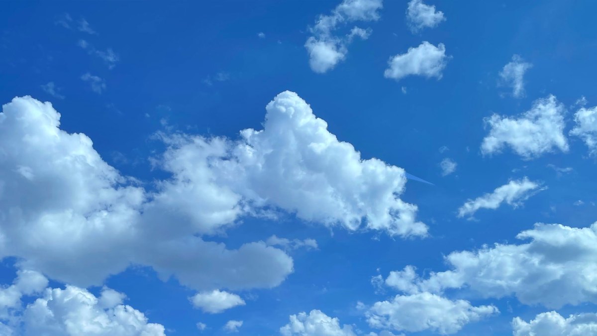 لا تسأل لمن يفسد اللوفر من Bluesky.