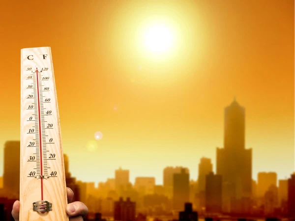 تسببت الحرارة المحترقة في أوروبا في الغضب. كانت الضحايا 2300 في 10 أيام
