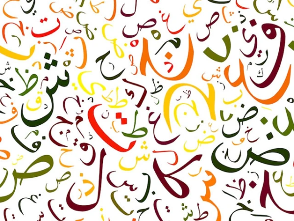 في الجمعية العامة للأمم المتحدة ، حصلت الأردية أيضًا على وضع اللغات الرسمية الثانوية